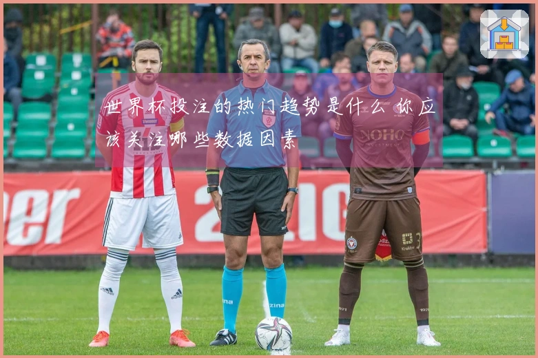 世界杯投注的热门趋势是什么 你应该关注哪些数据因素