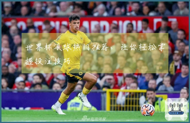 世界杯滚球热门推荐，让你轻松掌握投注技巧