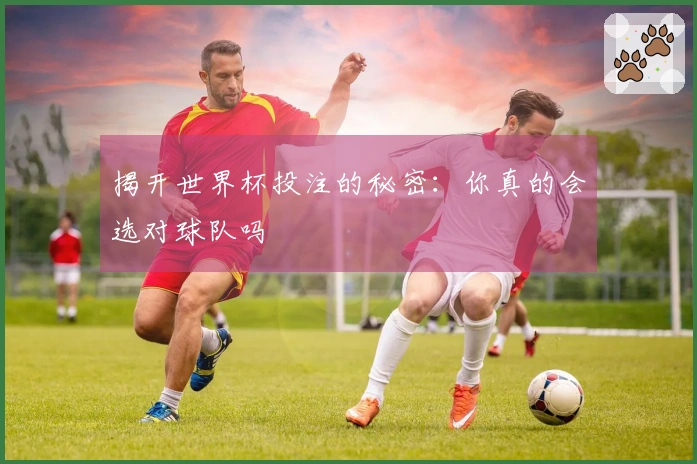 揭开世界杯投注的秘密：你真的会选对球队吗