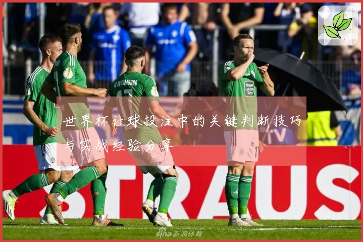 世界杯让球投注中的关键判断技巧与实战经验分享