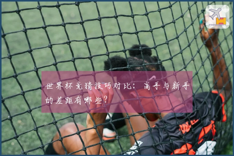 世界杯竞猜技巧对比：高手与新手的差距有哪些？